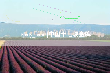 澳门中国十七块金牌