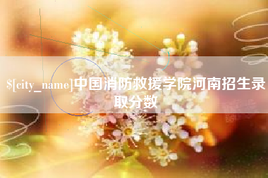 澳门中国消防救援学院河南招生录取分数