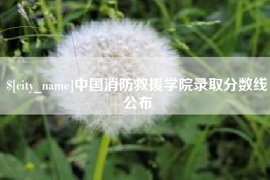 澳门中国消防救援学院录取分数线公布
