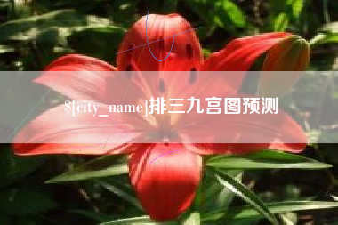 澳门排三九宫图预测