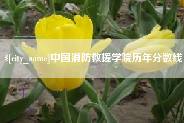 澳门中国消防救援学院历年分数线