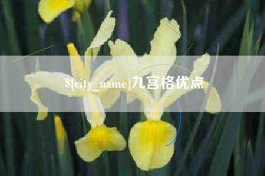 澳门九宫格优点