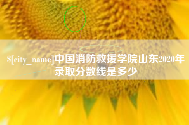 澳门中国消防救援学院山东2020年录取分数线是多少