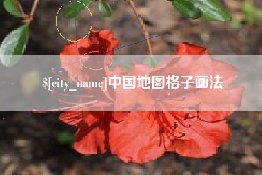 澳门中国地图格子画法