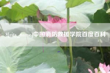 澳门中国消防救援学院百度百科