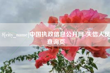 澳门中国执政信息公开网-失信人员查询页