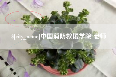 澳门中国消防救援学院 老师