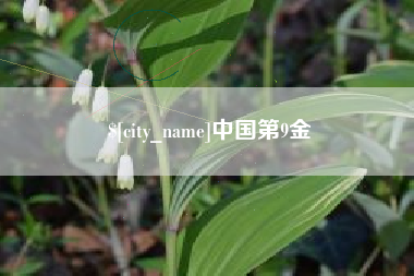 澳门中国第9金