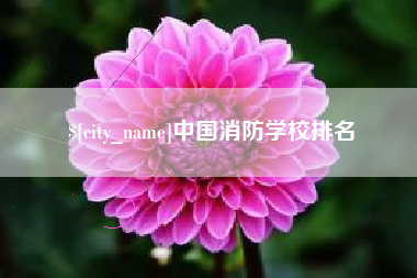 澳门中国消防学校排名
