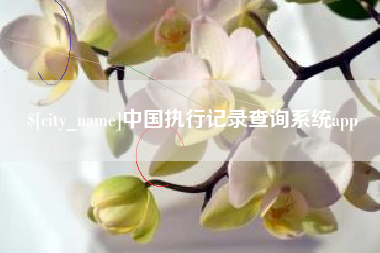 澳门中国执行记录查询系统app