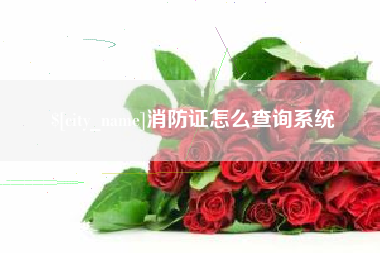 澳门消防证怎么查询系统