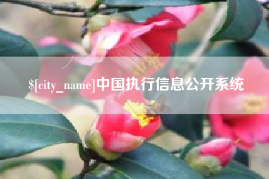 澳门中国执行信息公开系统