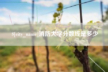 澳门消防大学分数线是多少