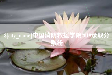 澳门中国消防救援学院2019录取分数线