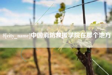 澳门中国消防救援学院在那个地方