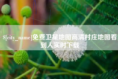 澳门免费卫星地图高清村庄地图看到人实时下载