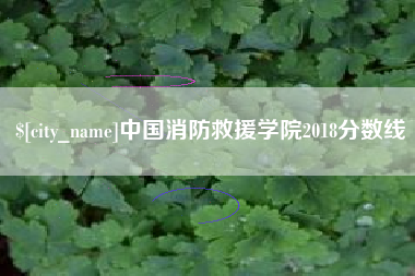 澳门中国消防救援学院2018分数线