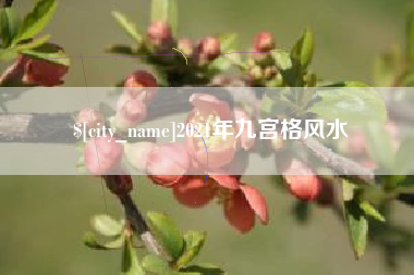 澳门2021年九宫格风水