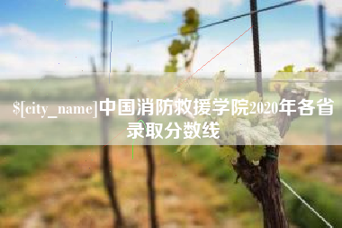 澳门中国消防救援学院2020年各省录取分数线