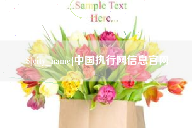澳门中国执行网信息官网