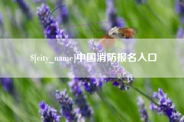 澳门中国消防报名入口