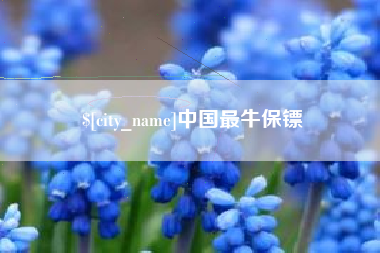 澳门中国最牛保镖
