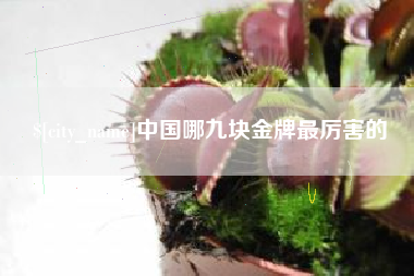 澳门中国哪九块金牌最厉害的