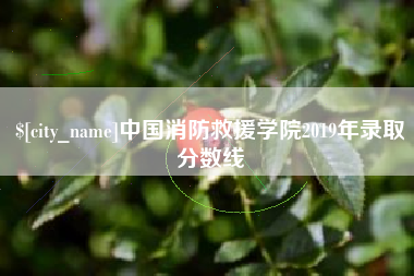 澳门中国消防救援学院2019年录取分数线