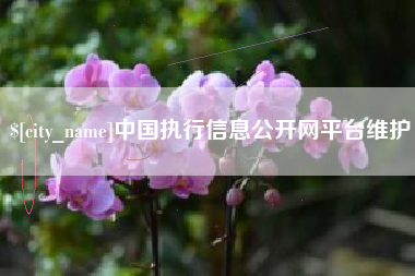 澳门中国执行信息公开网平台维护
