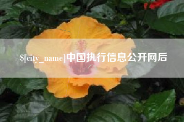 澳门中国执行信息公开网后