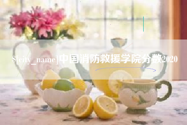 澳门中国消防救援学院分数2020