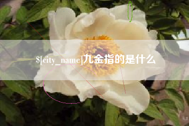 澳门九金指的是什么