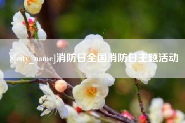 澳门消防日全国消防日主题活动