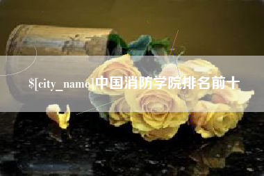 澳门中国消防学院排名前十