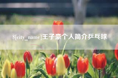 澳门王子豪个人简介乒乓球