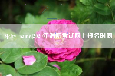 澳门2020年消防考试网上报名时间