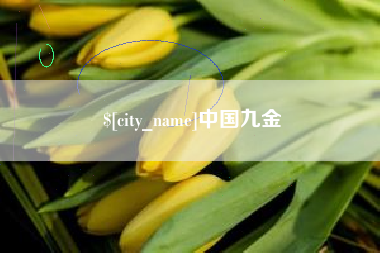 澳门中国九金