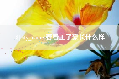 澳门看看王子豪长什么样