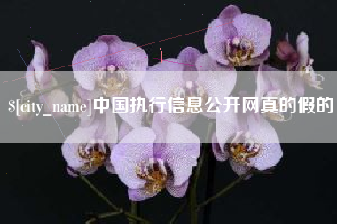 澳门中国执行信息公开网真的假的