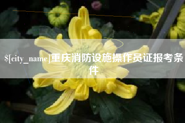 澳门重庆消防设施操作员证报考条件