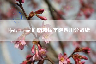 澳门消防救援学院四川分数线