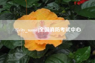澳门全国消防考试中心