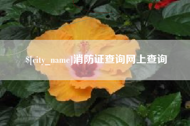 澳门消防证查询网上查询