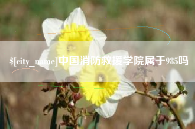 澳门中国消防救援学院属于985吗