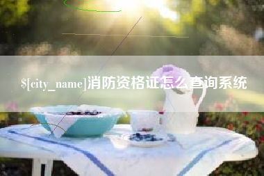 澳门消防资格证怎么查询系统
