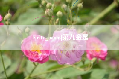 澳门第九金是
