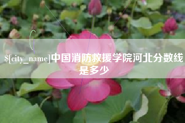 澳门中国消防救援学院河北分数线是多少