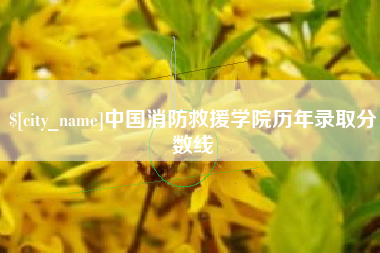 澳门中国消防救援学院历年录取分数线