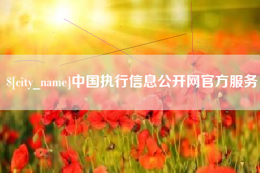 澳门中国执行信息公开网官方服务