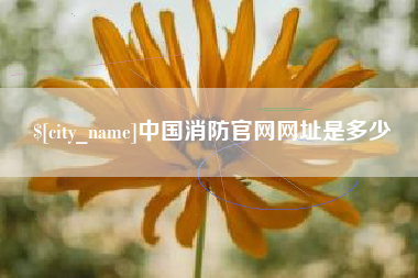 澳门中国消防官网网址是多少